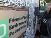 Friends Environment Foundation