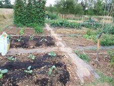 Plot Driven Hops