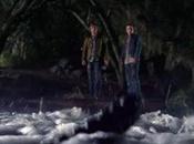 Alligators Really Love Marshmallows?