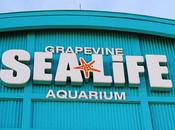 LIFE Grapevine Aquarium