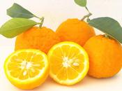 Season Seville Oranges Monsabor.com