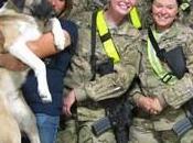Military Pets Rescue