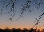 Dusk Bethpage Golf Course