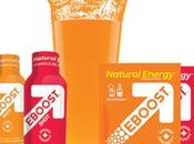 Eboost Review