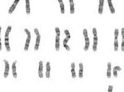 Miscarriage Robertsonian Translocation Story