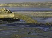 Sierra Club Announces Direct Action Stop Sands?!?