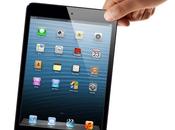 iPad Mini Perfect Together