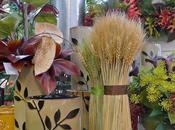 Bienvenue, L'automne (Welcome, Fall)