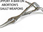 Here's Assault Weapon I'll Support Banning