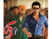 Naayak Collections Report