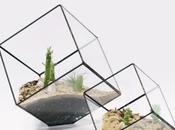 Interior Garden: Terrariums