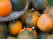 Pumpkin: Skin Care Tips Homemade Recipes