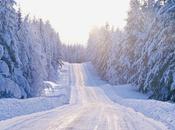 Siberian Winter Bring White Christmas