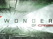Wonders Crysis Video Game-inspired Series Coming Soon