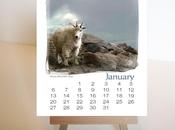 2013 Colorado Desk Calendars