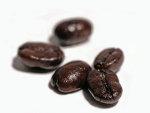 Losing Arabica Coffee Crop