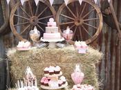 Pink Pony Party Inspired Occasion