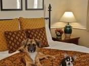 Valentine’s Day: Romance