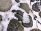 Winter Rock Garden