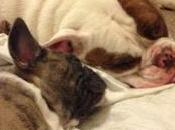 Breaking Point Exhaustion!