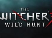 Witcher Wild Hunt Been Revealed