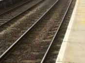 Adoption Process Continues