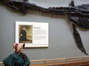 MARY ANNING's Amazing Fossils Natural History Museum, London
