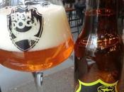 Tasting Notes: Birra Borgo: Dogfish Head: Antonia