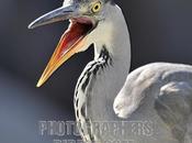 Dream Song Waiting Music Your Love