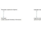 Language/genes Metaphor (part