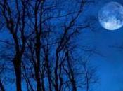 Full Moon Meditation December 2012…the Longest Night