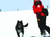 Digging Job: Lost Trail Avalanche Rescue Ready