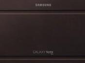 Elegant Brown Samsung Galaxy Note 10.1 Flip Case