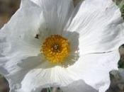 Gifted Blessed/Experiencing Nature Being Special Unique