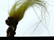 51/365 Troll