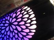 52/365 Colour Changing Mystery