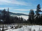 Another Run/walk Tower Mountain Snow. t...