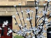 53/365 Kind Training