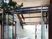 Week Review: Great Reads Have Missed