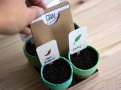 Mini Herb Garden Gift Sets