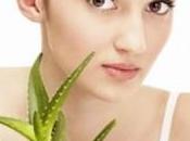 Beauty Benefits Aloe Vera Plants Have Been Existence Hundreds Years Best Known Many When Applied Hair Skin.