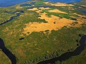 Wild Danube Delta