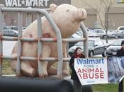 Pork Protests Directed Against Walmart