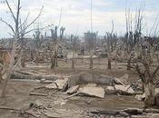 Lago Epecuén: Lake That Drowned Thriving Tourist Village