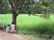 TODAY’S PHOTO: Roadside Cambodia