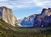 Yosemite Junior Ranger Writes Adorable Letter Apologizing Taking Sticks Home