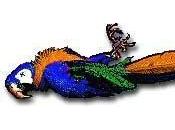 notloB News, March 2013