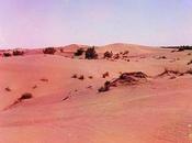 Dunes (Stolen from Photographs Brain, Originally From...