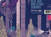 Trey Anastasio: "Blue Other Suburbs" Picture Disc Record Store