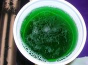 Green Beer Day, Miss You..